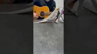 😂 FUNNIEST CAT VIDEOS OF August 2024
