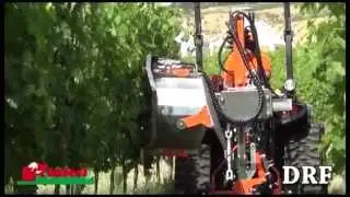 Leaf-strippers Defogliatrice DRF Rinieri 2015