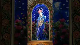 Velankanni Pilgrimage Nagapattinam | #avemaria #velankanni #jesus #mothermary