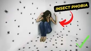 5 Steps To Overcome Insect Phobia