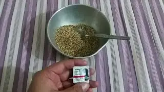 How To Take Care Your Teetar Francolin Birds Aseel Rooster In Winter Season (Evion)