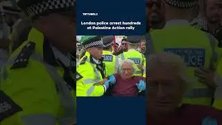 UK police arrest 425 protesters at Palestine Action demonstration