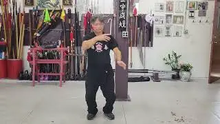 凌協華師傅，簡化太極二十四式， Simplified Tai Chi 24