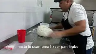 Pizza a la piedra – Masa base Ingredientes: