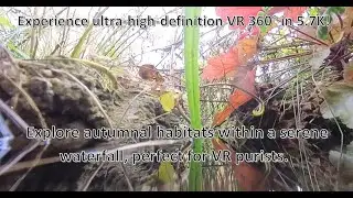 Relax TV: 5.7K 360° Autumn Waterfall Habitats for Pets | Unser Goldhof ( Ultra HD VR Version )