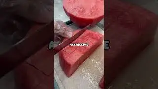 (Полная история) Я предотвратил похищение в аэропорту, но в итоге спас ребёнка от ужасного престу...