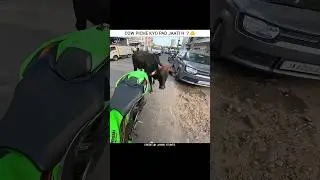 Cow Attack Me 😭 | Jannu Stunts