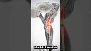 forever living Aloe MSM Gel Benefits | Best salution for Joint &knee pain'