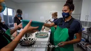 Penguin rescue at SANCCOB