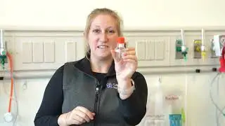 Airway management: Bag Valve Mask (BVM)