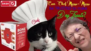 Dash Mini Dog Treat Maker Unboxing, Review & Taste Test