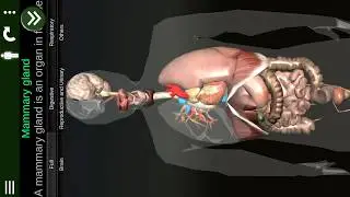 Organs 3D (Anatomy) v2 for Android. 