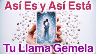 ASÍ ES y ASÍ ESTÁ TU LLAMA GEMELA AHORA 💞 TODOS LOS DETALLES 😲 Tarot Amor Interactivo Canalización