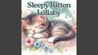 Sleepy Kitten Lullaby