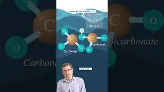 How does #ocean acidification work? Find out on @reefrebels Episode 10