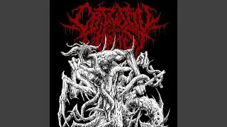 Devora