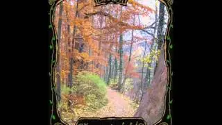 Folk Metal - Linnalapsi - Schwert