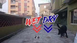 Dog Food Wars: Will Sky Go Wet or Dry?
