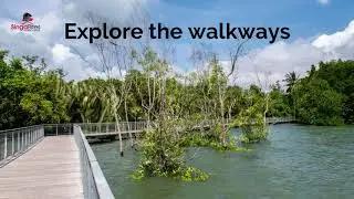 A day trip to Pualu  FULL HD