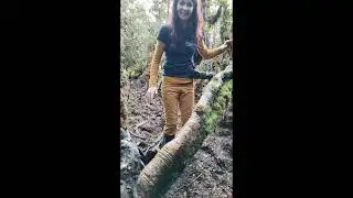 Borneo - Mt. Trusmadi 2023 - v&scaron;ude ra&scaron;elina :-)