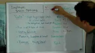 Employee Stock Options