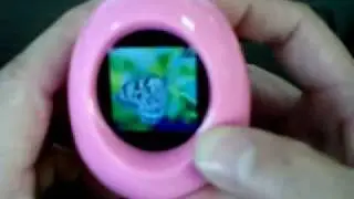 LCD Digital Photo Viewer