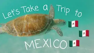 MEXICO: underwater cave, snorkeling, upside down zip lining + more