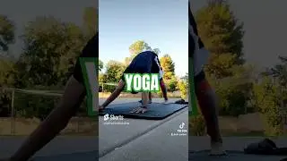 🌍 YOGA DAY 2023 🧘🏿&zwj;♂️🕉 #shorts #yoga #trending #video