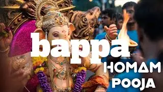 My Street Ganesh Pooja Homam Video 2024 #ganeshchaturthi #vinayakachavithi