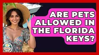 Are Pets Allowed In The Florida Keys? - The Family Getaway Guide