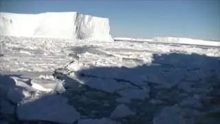 Что такое паковый лед