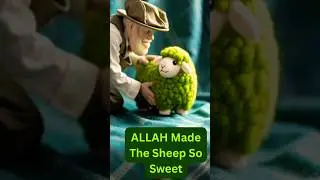 BA BA GREEN Sheep | Nursery Rhymes & Kids Songs | muslim song #nurseryrhymes #toddlersongs #nasheed