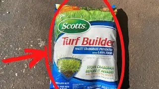 Scotts Turf Builder Halts Crabgrass Preventer with Lawn Food - Pre-Emergent Weed Killer, Fertilizer,