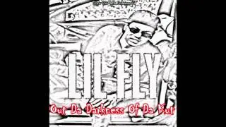 LIL FLY - break da law 94