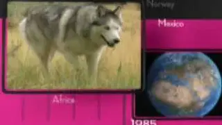 Eukanuba 40th anniversary