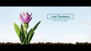 I Am Turmeric: The Root To Beauty (8sec)
