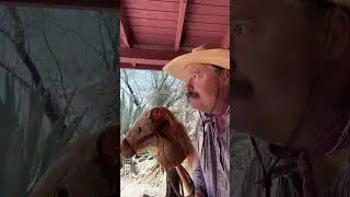 Stick Horse Training 101