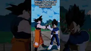 Only Vegeta Knows How To Calm down Goku
