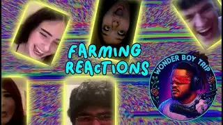 Monkey App Trolling Gone Wrong!