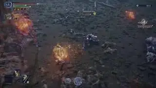 Elden ring Nightreing depth 5/9 999 best duchess player