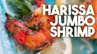 🍤  HARISSA Shrimp | Smothered in a  NORTH AFRICAN Chilli Sauce | Kravings