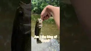 I can&rsquo;t catch anything big!