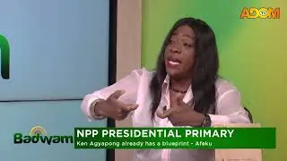 NPP PRESIDENTIAL PRIMARY: Ghanaians hate the truth - Afeku