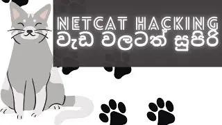 Master Netcat in sinhala: A Comprehensive Tutorial  | Termux hacking