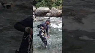 cast-net fishing | fishing video | #shorts #fishingtechniques #castnet #castnetfishing #riverfishing
