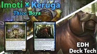 Imoti, Celebrant of Bounty with Keruga, the Macrosage Companion - EDH Deck Tech 