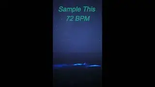 SAMPLE THIS 72 BPM #producertok #flstudio #sampletype #soulsample