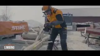 Limbing | World Logging Championship