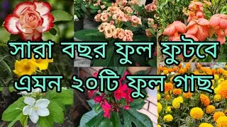 সারা বছর ফুল ফুটবে এমন ২০টি ফুল গাছ | Flowers plants