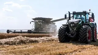Big Harvest 2020 - Fendt Ideal 9T